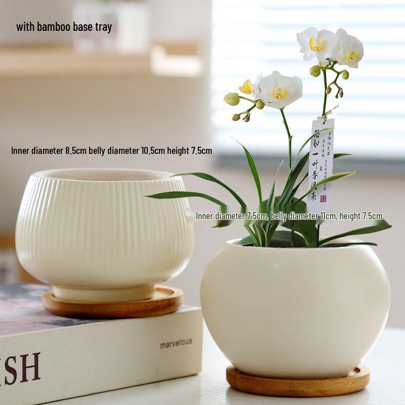 Ceramic Flower Pot with Tray for Orchids and Succulents