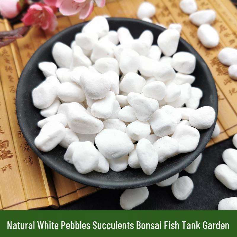 Hanbaiyu Natural White Pebbles for Gardening and Landscaping
