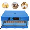 64 Egg Incubator Automatic Digital Chicken Quail Duck Hatcher Dual Power 110V 12V Water Bed Roller Egg Turner Blue