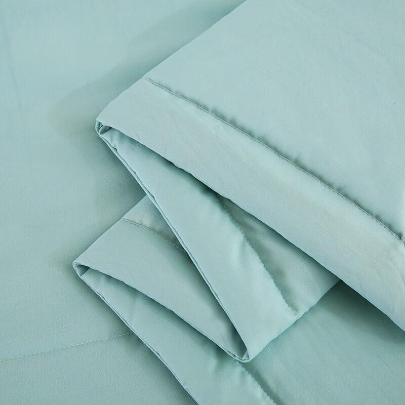 Saierjia Mugwort Anti-Mosquito Soy Fiber Quilt