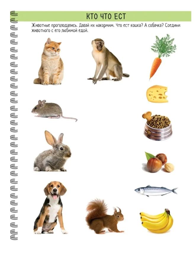 Children's Reusable Developing Copybook Write-erase  2-6 Years Old