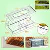Window Bird Feeder Clear View with 4 Suction Cups Drain Hole for Wild Birds Cardinals