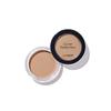 The Saem Cover Perfection Pot Concealer