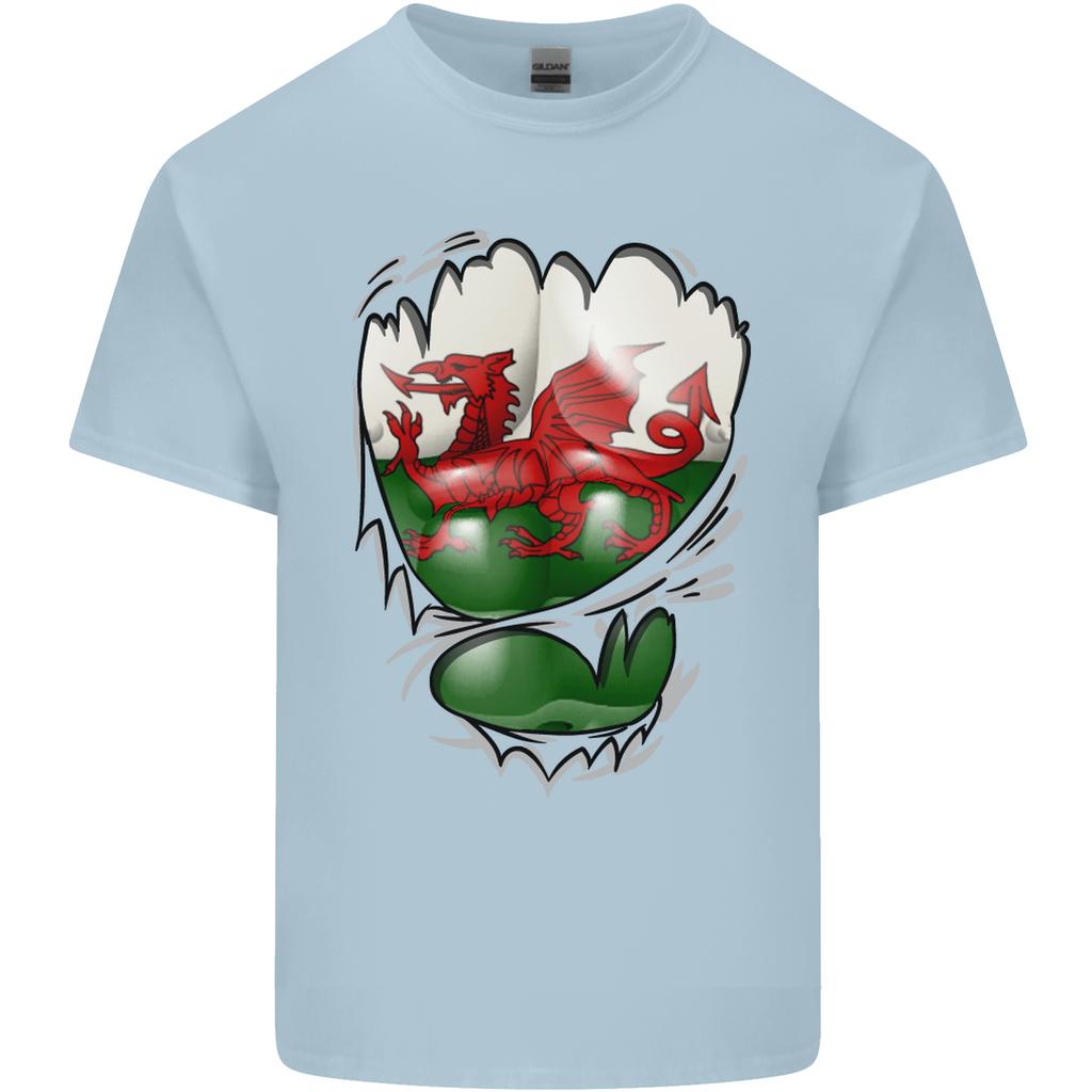 Gym The Welsh Flag Ripped Muscles Wales Unisexs Light Cotton TShirt