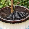 Breathable Mesh Plant Pot Soil Protector Grid Cover  for Beginner Gardeners