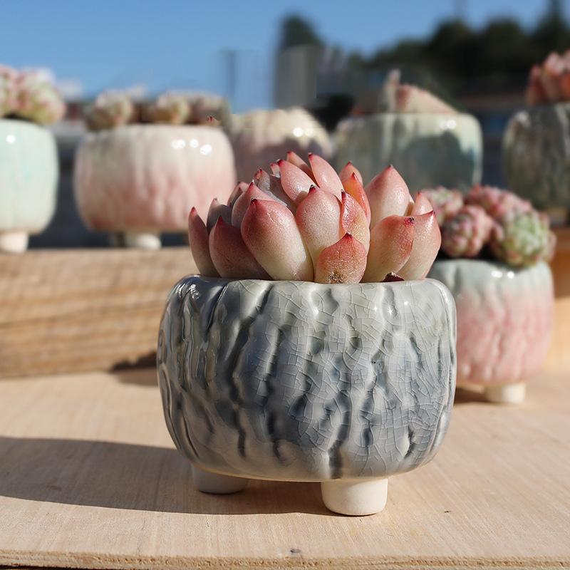 NEW Ceramic Flower Pot Creative Design Ice Cracked Glaze Succulent Pot Planter Small Flowerpot Home Hotel Ornament Decoration