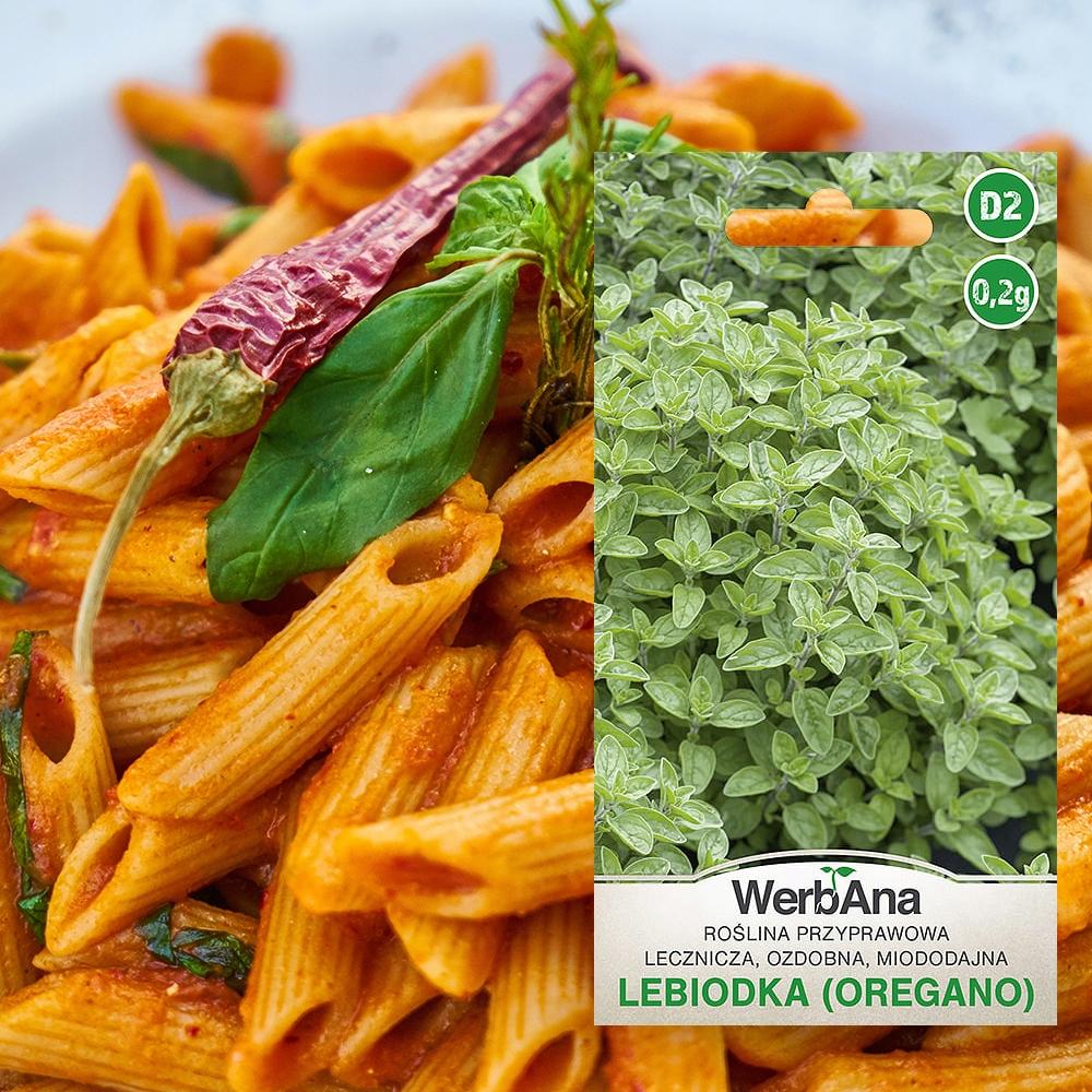 Set of Herb Seeds Mint Oregano Basil Coriander Lovage 5 Pcs. for the Garden