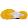 Li Ning Sound Waves Badminton Shoes Unisex Low top Black AYTS016-5