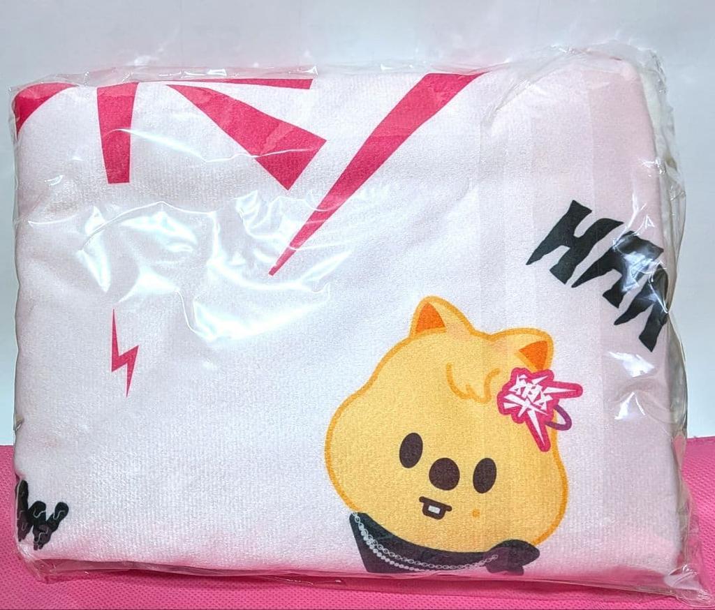 [USED] Stray Kids Raku Sanok Blanket SKZOO
