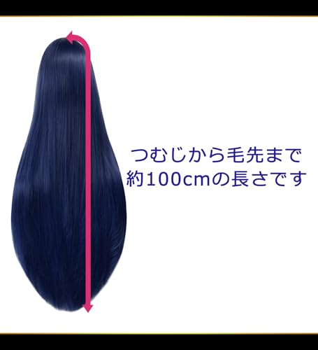 CaseEden Cosplay Wig, Premium, Smooth, Long, 100cm, Blue-Black, WIG6161