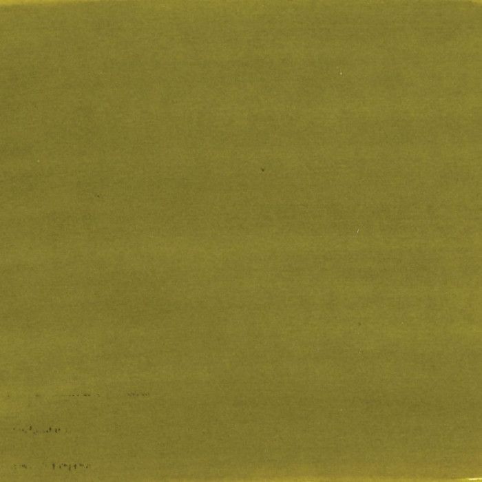 Encre Aquarelle - PEBEO - Colorex - 45 ml - Couleur Greengold - Mixte