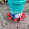 Automatic Poultry Drinker & Feeder Bowl for Chickens, Ducks, Geese, and Pigeons - Thickened New Model