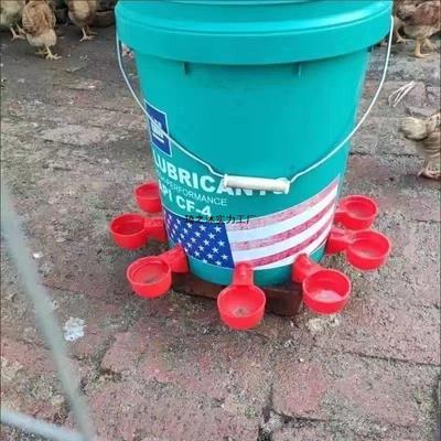 Automatic Poultry Drinker & Feeder Bowl for Chickens, Ducks, Geese, and Pigeons - Thickened New Model