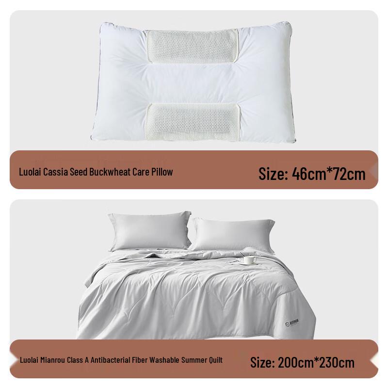 

Luolai Washable Summer Quilt & Pillow Set