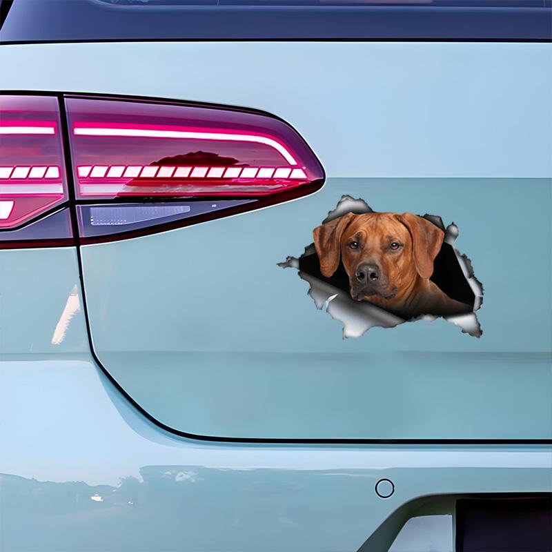 Rhodesian Ridgeback 3D Bryt Muren Bildekal, Vattentäta Vinylmaterial Tillbehör, Intressant För Bilar, Lastbilar, Motorcyklar, Väggar