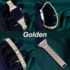 Metal Inlaid Design Watch Strap for Apple Watch for Iwatch S10/Ultra 1/2 Watch Band