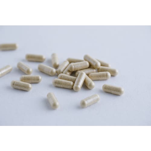 Kanazawa Suppon-do Soft-shelled Turtle Supplement: A Powerful Brand for Those Who Want To Work Harder. Contains Soft-shelled Turtle, Mamushi, and Kore