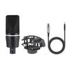 X1 M1 English Condenser Microphone & Sound Card Set for PC/Phone Podcast Recording.