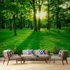 Green Sunshine Forest Wallpaper Mural Sunny Green Forest 3d Wall Mural Modern Home Decor Wallpaper For Living Room Bedroom