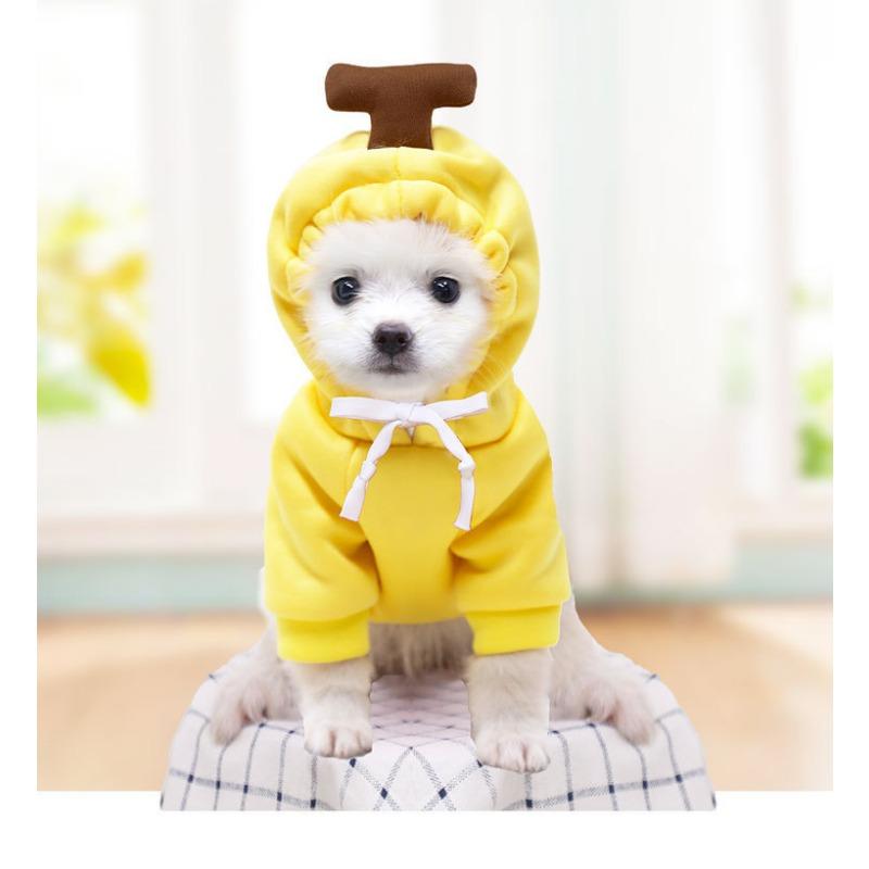 Katze Haustierkleidung für Herbst und Winter, Welpen, Teddykatzen, Fleece-Mützen, Hunde-Hoodies, Verdickt und warm