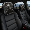2pcs 2D Printed Headrest Covers Angry Eyes Car Seat Headcover Dust-proof Neck Pillowcase  Halloween
