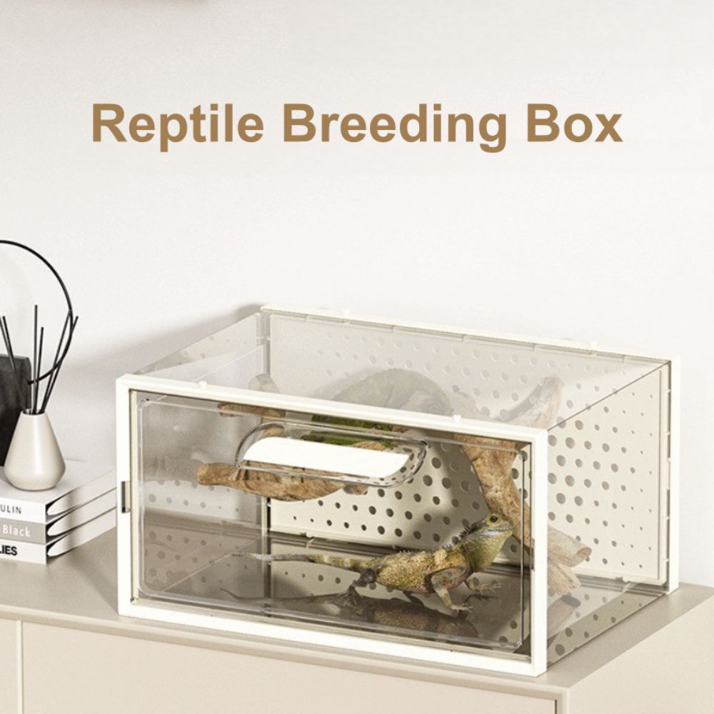 Easy Clean Reptile Habitat Ventilated Small Pet Terrarium New Spider Breeding Box  Pet Supplies