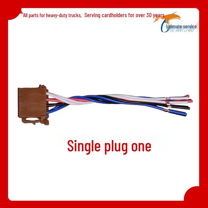 Compatible with Howo, Tongshuai, and Hanjiang Light Truck and Sprinkler Rocker Switches Switch with Plug