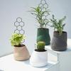 Adjustable PP Plant Support Structure For Flower Pots Climbing Roses Healthy Growth Of Ivies And Other Vine 5 Pack