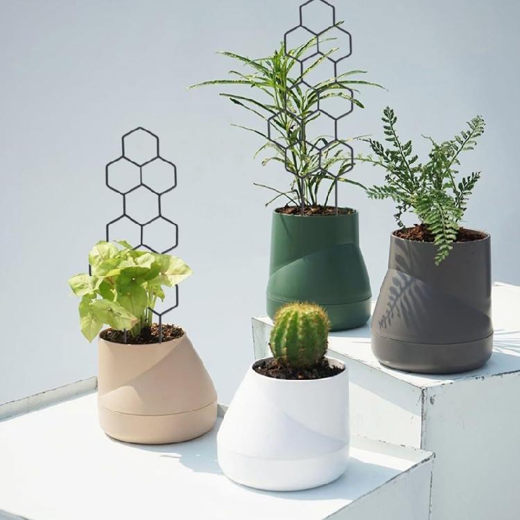 Adjustable PP Plant Support Structure For Flower Pots Climbing Roses Healthy Growth Of Ivies And Other Vine 5 Pack