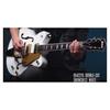 GRETSCH G5422TG Electromatic Classic Hollow Body with Bigsby SCW Electric Guitar Double-Cut