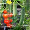 1pc- Grid Net Is a Wear-resistant Plant Support Used for Climbing Grapes and Vegetables, Which Is Very Suitable for Outdoor Use