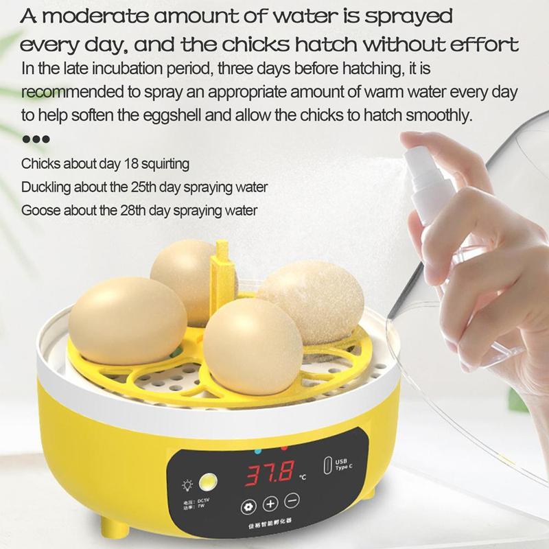 Mini Egg Incubator For Home Automatic Temperature