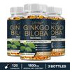 Airboy - Ginkgo Biloba Extract Capsules (1800mg) - Brain Health