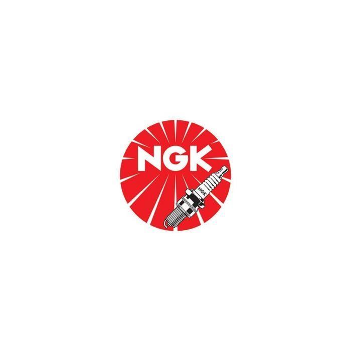 Bougie dallumage ER8EHIX - Tige Filetee - Ngk