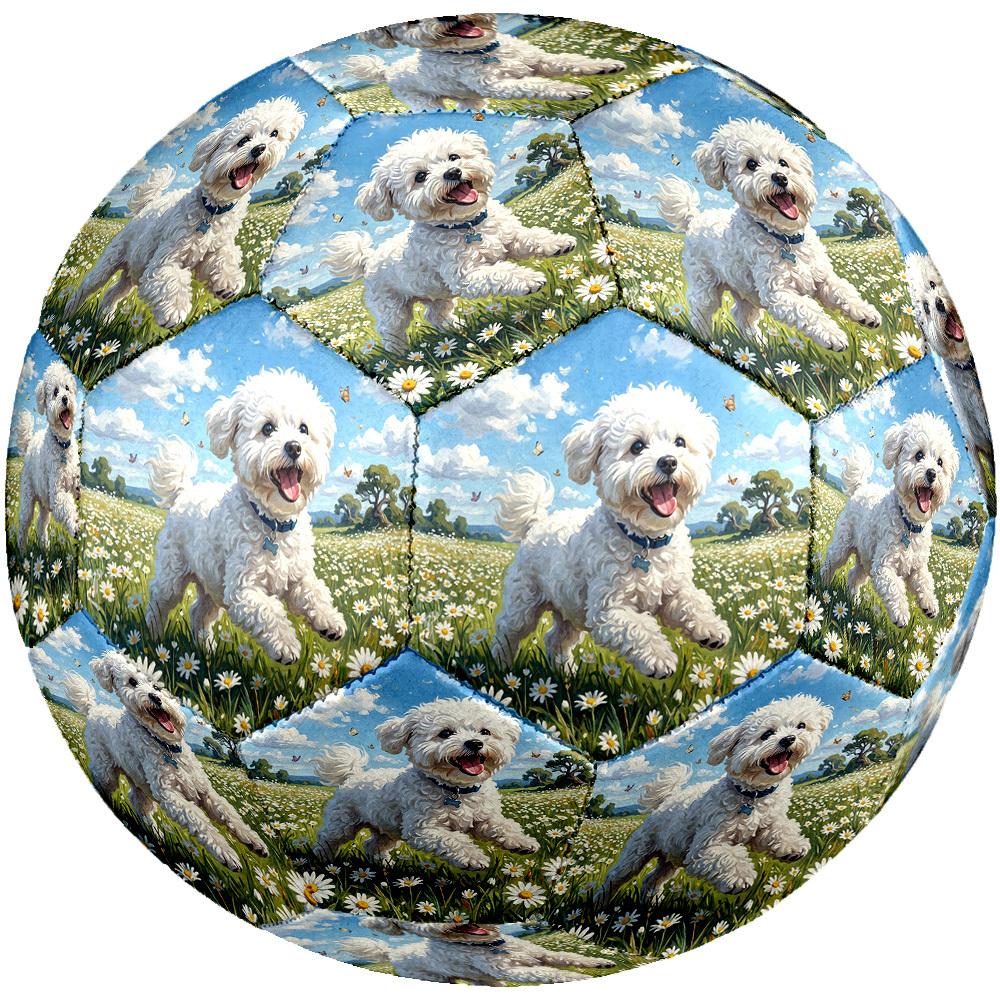 1pc Daisy Field Pup Theme Soccer Ball Football, Size 5, Lightweight PVC, Durable Outdoor Training Soccer Ball, Gift M61485
