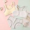 Teen Girls' Wireless Cotton Bra Set Puberty Training Camisole Sports Bra for Junior High Students