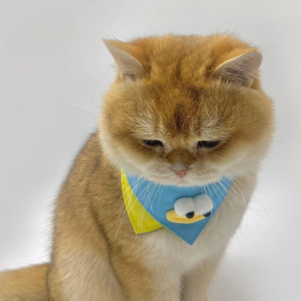 Pet Supplies Spring and Summer Triangle Scarf Cartoon Accessories Cute Cat Bib Small Dog Bib Neck