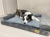 bingopaw Large Dog L Pet Sofa Dog Elderly Dog Bedsore Akita Multiple Small 40kg or Less Bed, Cushion, Washable, Bed, Fluffy, Bed, Waterproof,