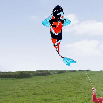 Větrný rukáv s drakem Koi 3D Snadné ovládání Kreativní pro Dospělé Děti Začátečníky Velký Park Pláž
