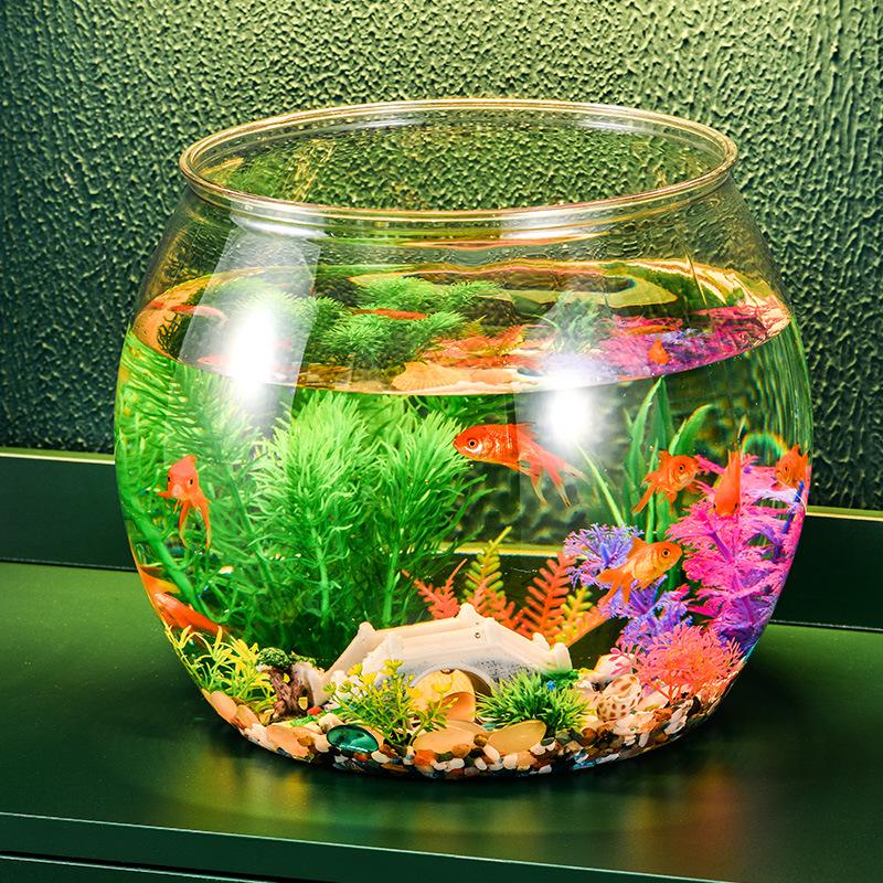 Round Unbreakable Transparent Fish & Turtle Tank for Desktop or Living Room