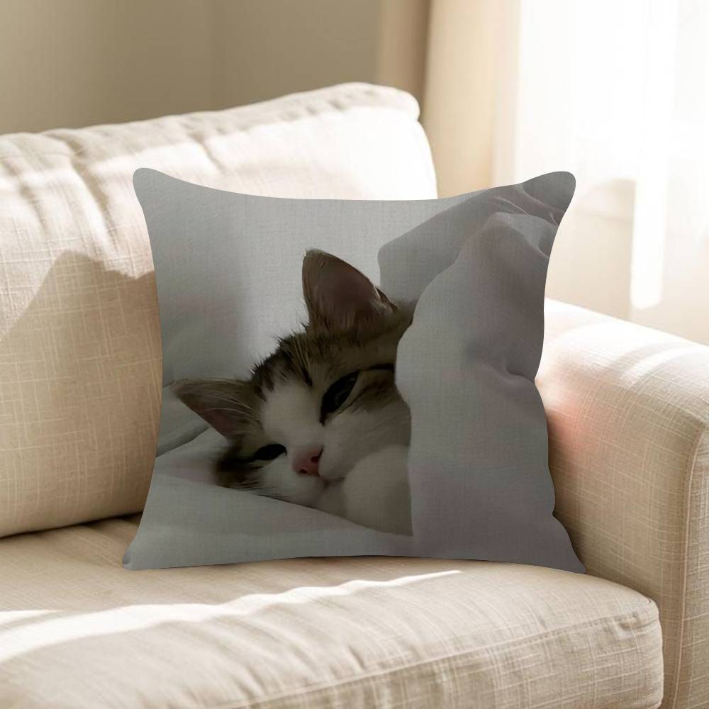 Korean Ins Cute Healing Sleeping Cats Cushion Cover Pillowcase Upholstery Sofa Throw Pillow Home Decor Pillowcas
