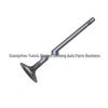 Volvo Intake Valve 31480337/9454607/30684049/30650940/31316318