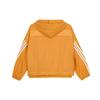Adidas Essentials Series Striped Hooded Zip Jacket Women Daily Sports Casual Outerwear Yellow HA0813
