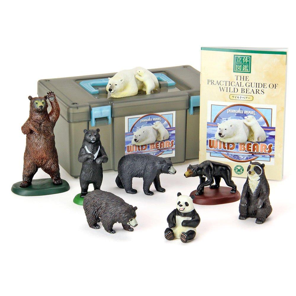 Colorata World Bear Figurine 3D Encyclopedia (Bears / 8 types / with explanatory booklet) Realistic Figurine Box Toy Educational Toy Gift Food Sanitat