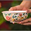 European Ceramic Western Steak Plate Painted Rose Dinner Plate Both That Noodle Bowl Dessert Main Course Dish Kitchen Tableware