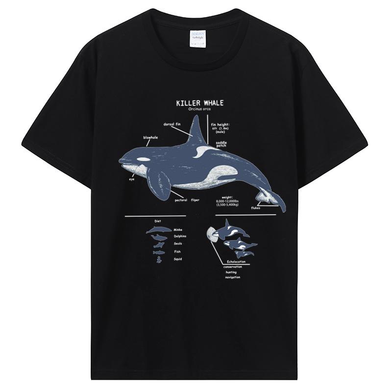 Killerwal Orcinus Orca Anatomie Wissenschaft T-Shirt