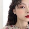 Niche Design S925 Sterling Silver Earrings: Korean High-Class Cold Style Ear Studs for Women with Short Hair.