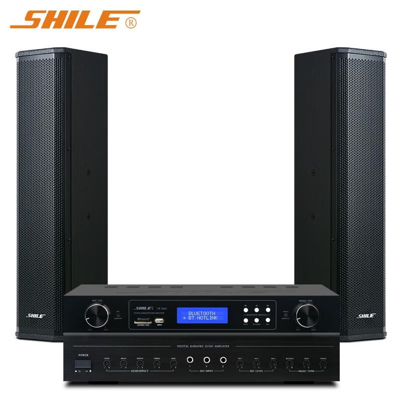SHILE Professional Conference Linear Array Speaker & Bluetooth Amplifier Set