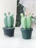 Succulent Scented Candle Mold Aromatherapy Soap Mould Gypsum Resin Mould Plaster Ornament for Birthdays and Festivals