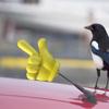Antenna Topper Hand Gesture - Car Antenna Ball | Cute Roof Decoration Truck RV SUV Universal Home Trailer